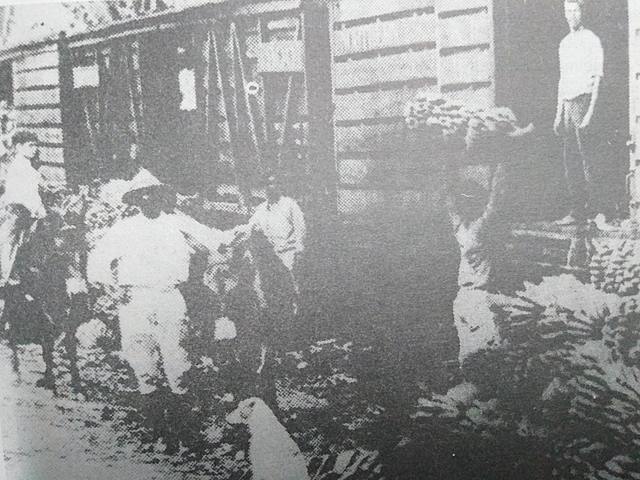 Trabajadores bananeros no paran de luchar