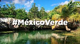 Timeline: Reservas de la biosfera: problemas y oportunidades en México