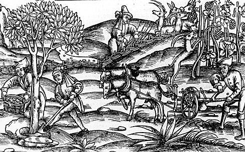 Georgiche 38-29 a.C.