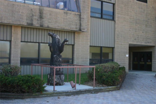 High School Graduation