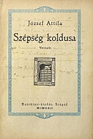 A Szépség koldusa