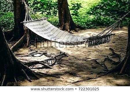 El descobriment del hammock