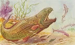 Extinción Masiva De silúrico