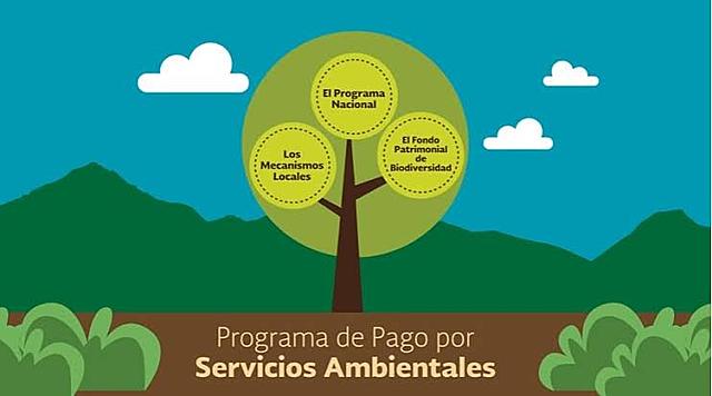 Comenzó el programa de pago por servicios ambientales del Gobierno Federal Mexicano