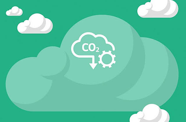 Inició el pago por captura de carbono.