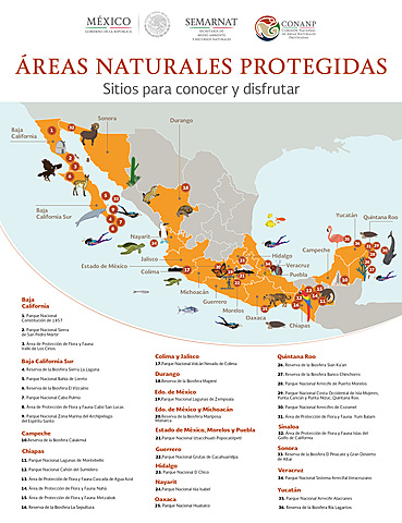 Hay 1879 núcleos agrarios, 1385 en áreas naturales protegidas estatales y 95 en las de designación municipal.