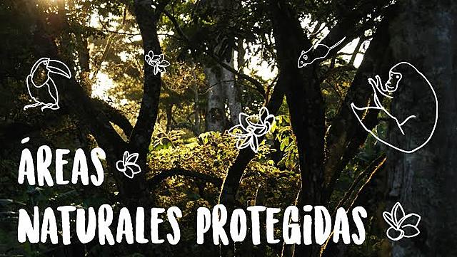 Hay 14 áreas estudiadas, 11 fueron valoradas negativamente.