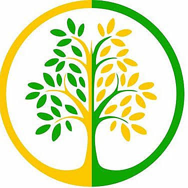 Los distintos programas de pagos por servicios ambientales se agrupa en el programa PROARBOL manejado por la CONAFOR