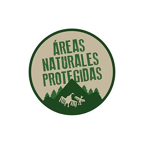 Se plantea crear una red internacional de ANP