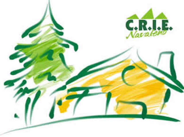 Regulado el funcionamiento de las CRIE