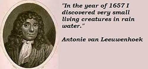 Anton van Leeuwenhoek's Importance