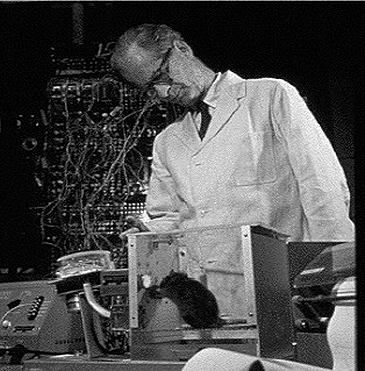 Behaviorista tanuláselméletek megjelenése