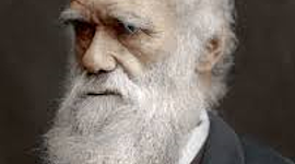 Timeline: Charles Robert Darwin February 12, 1809 - April 19, 1882