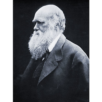 Timeline: Charles Darwin February 12,1809 - April 19,1892