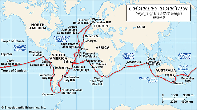 Conclusion of the Voyage