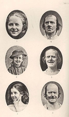 The Expression of the Emotions in Man and Animals