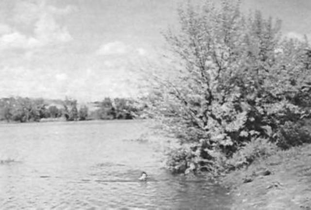 Water Quality Act,1965