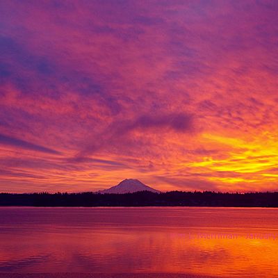 Timeline: Breon Powells 1st Period. Blood History