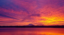 Timeline: Breon Powells 1st Period. Blood History