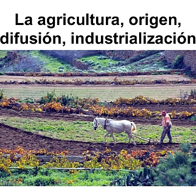 Timeline: LA HISTORIA DE LA AGRICULTURA