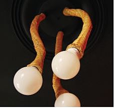 Luminarias de techo: Lepchap