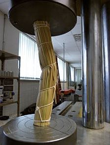 Estudio del comportamiento físico y mecánico de rollos de totora amarrados