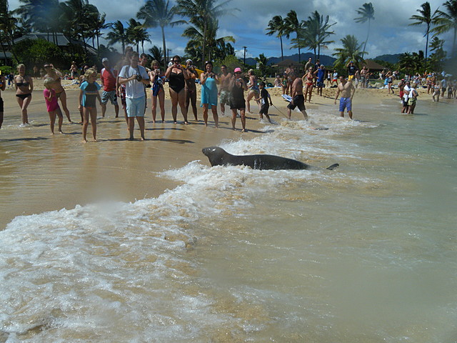 Iba una Playa en 2007