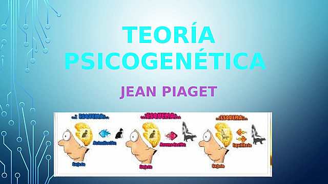 TEORÍA PSICOGENÉTICA