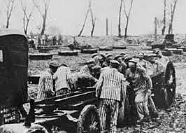 Liberation of Auschwitz