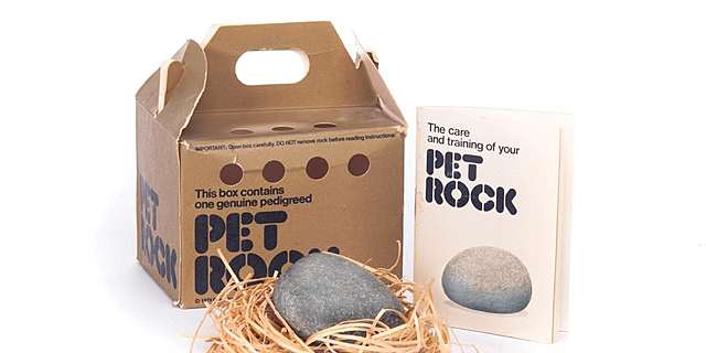 Toys: Pet Rock
