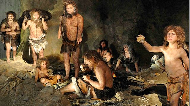 Homo neanderthalis