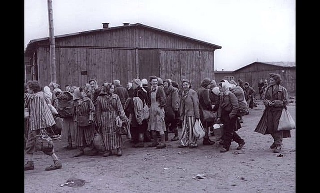 The Liberation of Auschwitz