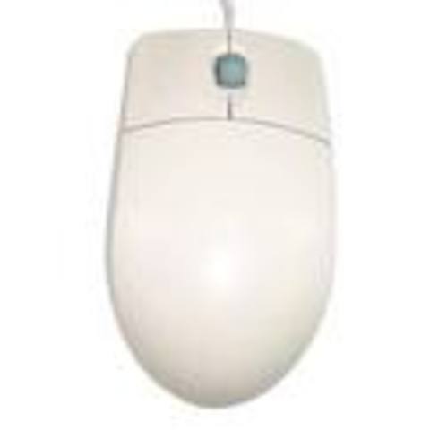 Computer Mouse Adapted