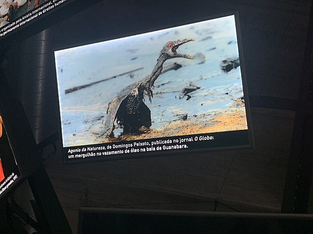 Agonia da natureza 1994