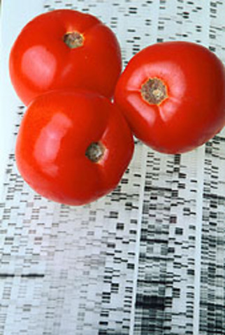 Let's talk 'Nutrigenomics'