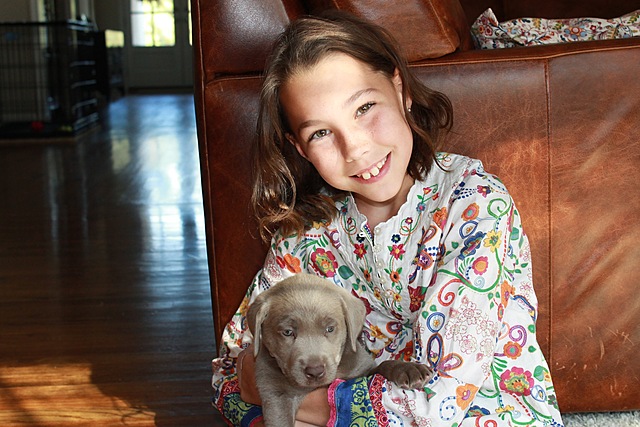 Recibí un perro, Charli, en octubre de 2012.