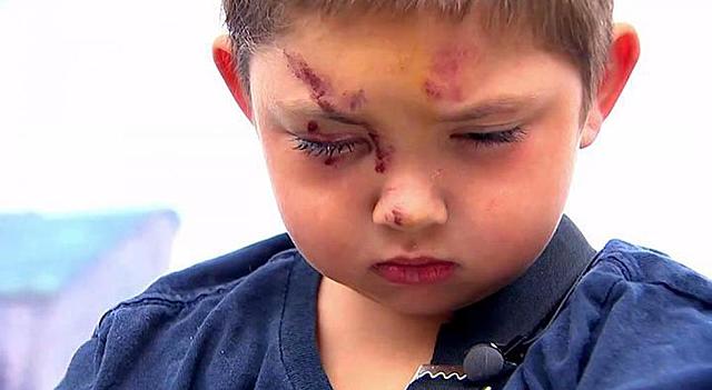 Intrusión (Siglo XVIII)