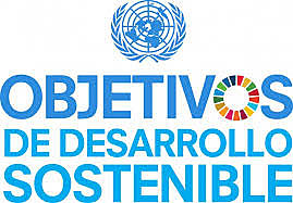 AGENDA 2030: Objetivos de desarrollo sostenible y grupo de trabajo abierto de la asamblea general (GTA)