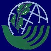 La contribución de las ONG al proceso preparatorio RIO + 10