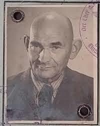 Las Vitaminas y La Nutrición