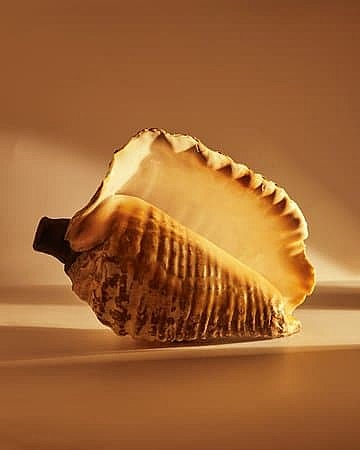 Aparición del Pututu