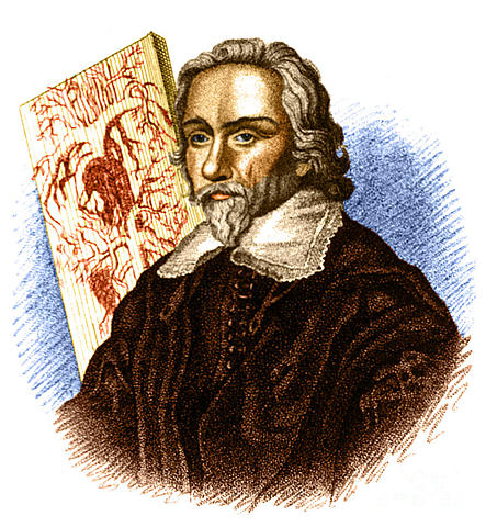 WILLIAM HARVEY (1578-1657)