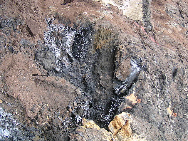 Biorremediación de suelos saturados de diesel