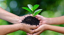 Timeline: Desarrollo sostenible