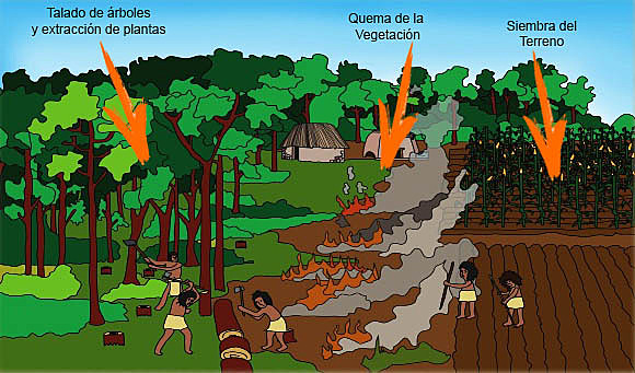 Los agricultores tempranos 2000-300 a.C.