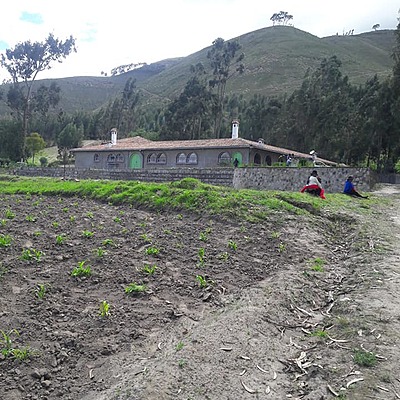 Timeline: Colegio María Auxiliadora