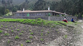 Timeline: Colegio María Auxiliadora