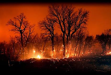 Crema de boscos per impedir el refuig dels bandolers
