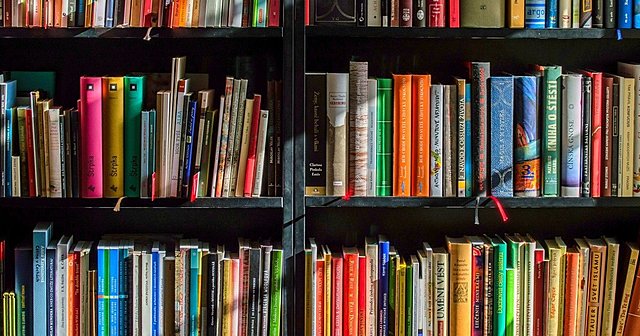 Manual de la psicología fisiológica. Wilhelm Wundt