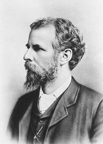 James sully (1842-1923)